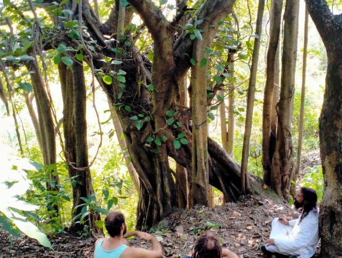 Maunvan yoga retreat Rishikesh Himalayan setting